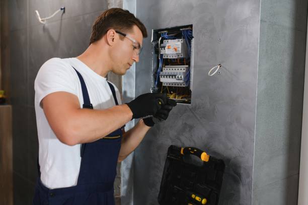 Best Electric Panel Repair  in Jemez Pueblo, NM